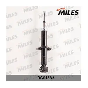 DG01333 MILES