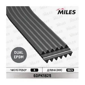 MILES 6DPK1825