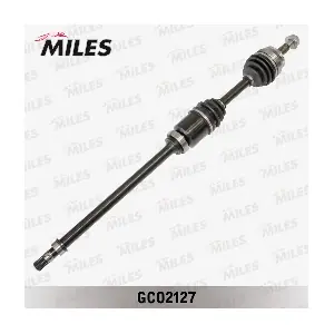 262002 MILES