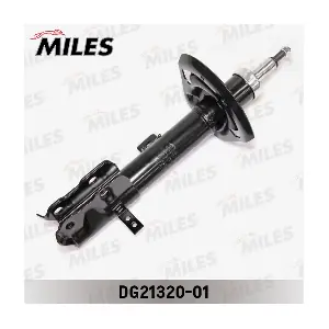DG21320-01 MILES