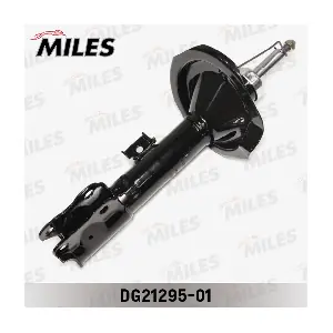 DG21295-01 MILES