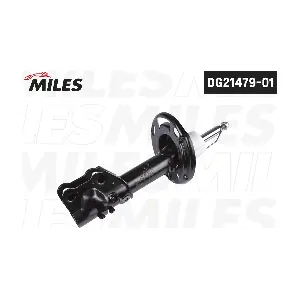 DG21479-01 MILES