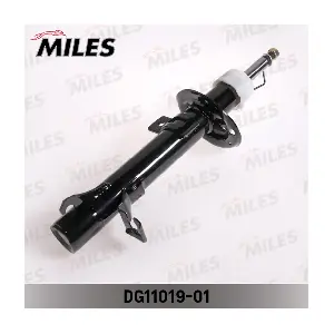 DG11019-01 MILES