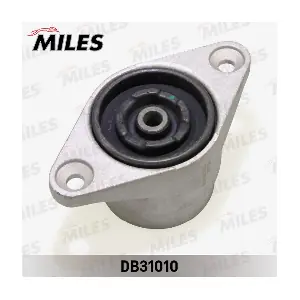 DB31010 MILES
