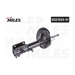 DG21533-01 MILES