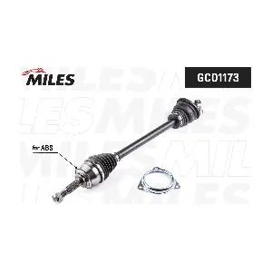 MILES GC01173