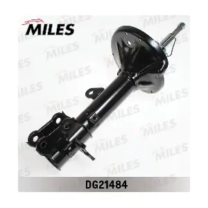 DG21484 MILES