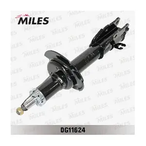 DG11624 MILES