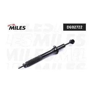 DG02722 MILES
