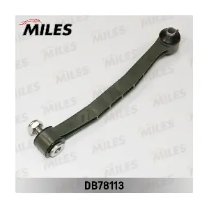 MILES DB78113