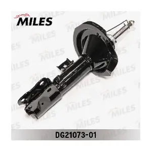 DG21073-01 MILES