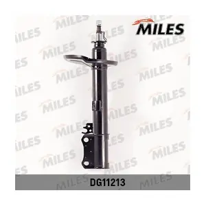 DG11213 MILES