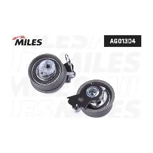 AG01304 MILES