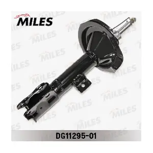 DG11295-01 MILES