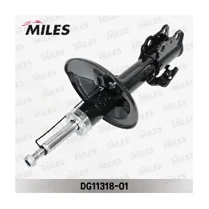 DG11318-01 MILES