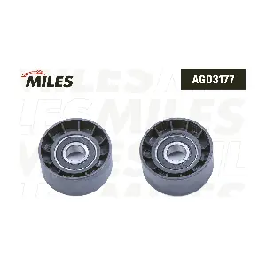 AG03177 MILES