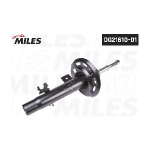 DG21610-01 MILES
