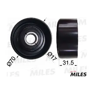 MILES AG03074