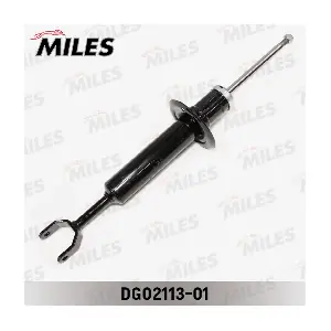 MILES DG02113-01