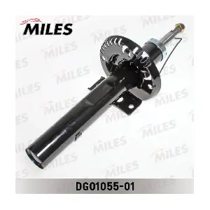 MILES DG01055-01
