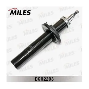 DG02293 MILES
