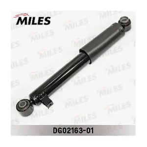 DG02163-01 MILES
