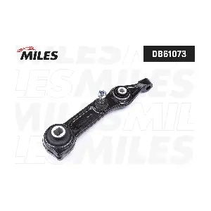 DB61073 MILES
