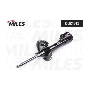 DG21613 MILES