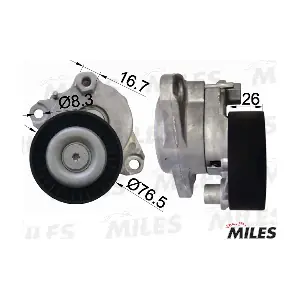 AG00296 MILES