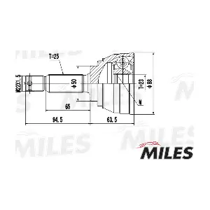 MILES GA20592
