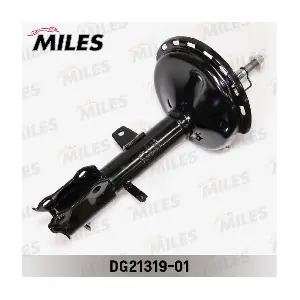 MILES DG21319-01