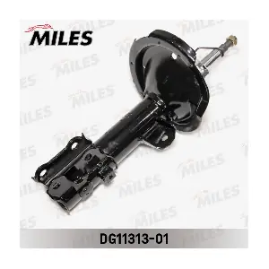 DG11313-01 MILES