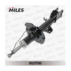 MILES DG21793