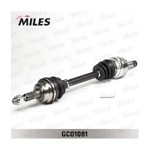 MILES GC01081