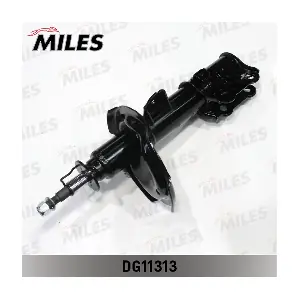DG11313 MILES