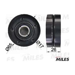 MILES AG03047