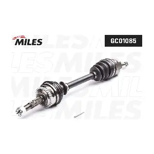 MILES GC01085