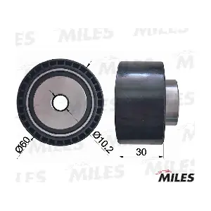 MILES AG02066