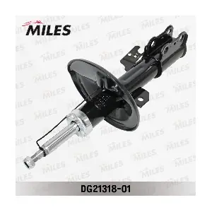 DG21318-01 MILES