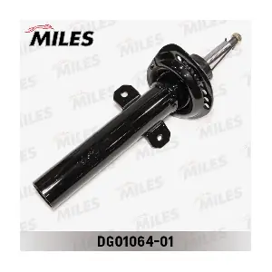 MILES DG01064-01
