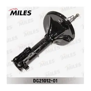 DG21012-01 MILES