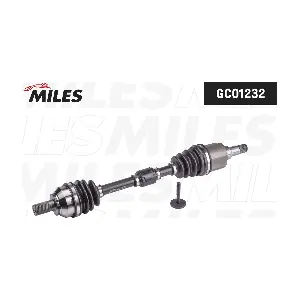 MILES GC01232