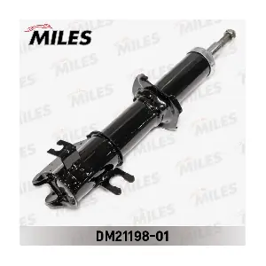 DM21198-01 MILES