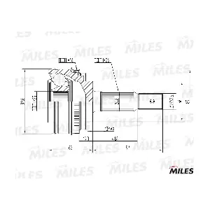 GA20205 MILES