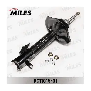 DG11015-01 MILES