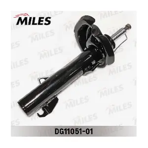 MILES DG11051-01