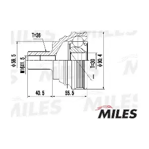 GA20603 MILES