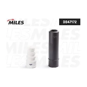 MILES DB47172