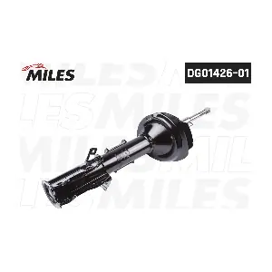 DG01426-01 MILES