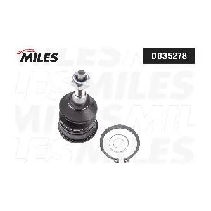 MILES DB35278